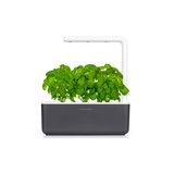 Click & Grow Smart Garden 3 Antraciet (Incl 3 basilicum plantjes)_