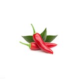 Click & Grow Refill Chilipeper 3-pack_