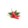 Click & Grow Refill Chilipeper 3-pack
