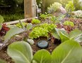 Gardena | Smart Water Control | Bodemvochtigheidssensor