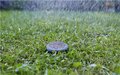 Gardena | Smart Water Control | Bodemvochtigheidssensor
