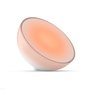 Philips | Slimme Verlichting | Philips Hue Go tafellamp - White and Color (v2)